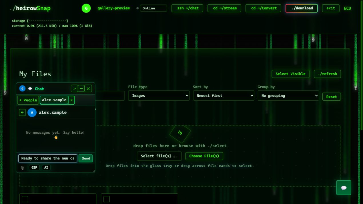 Browser chat widget with a sample contact and an unsent message draft