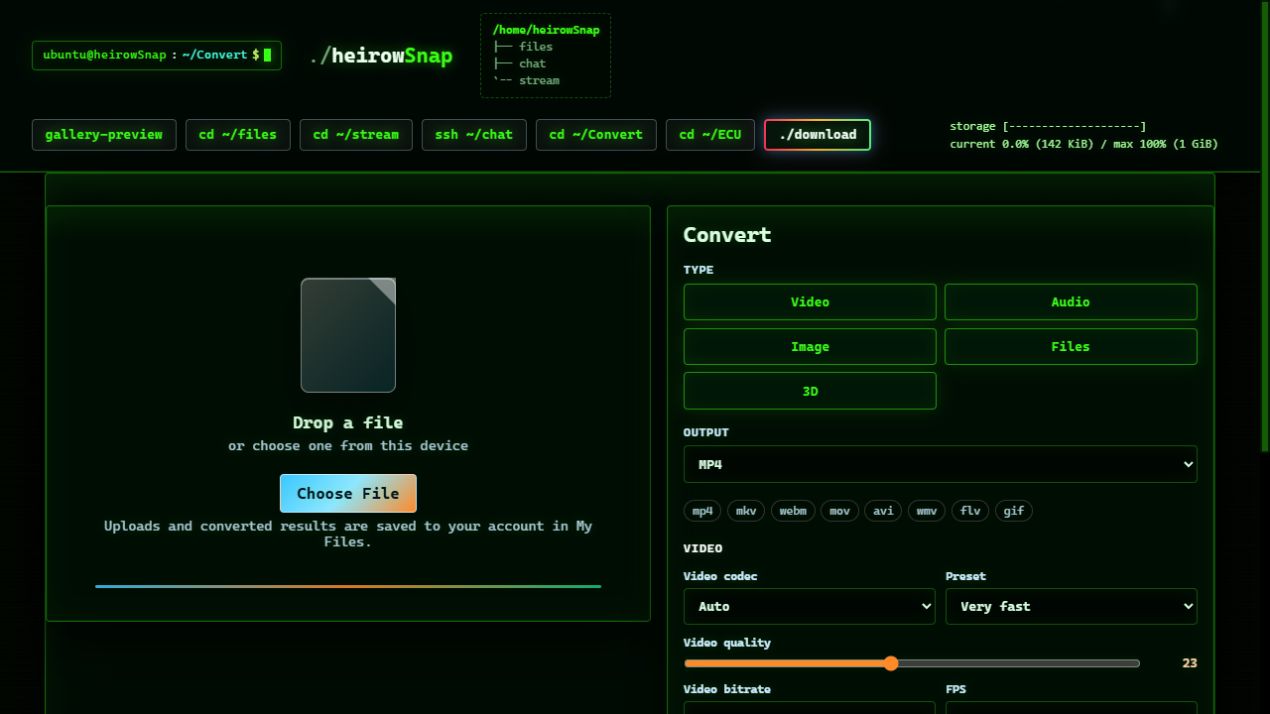 Media converter with codec, quality, frame rate, sizing and audio controls