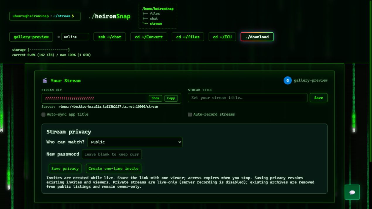 Stream title, recording and privacy controls; the sample stream key stays concealed